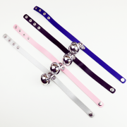 Кляпы, Ошейники